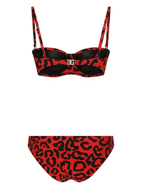 dolce gabbana leaoprd print bikini|DOLCE&GABBANA Leopard.